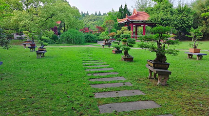 青山公园第 1 张图片