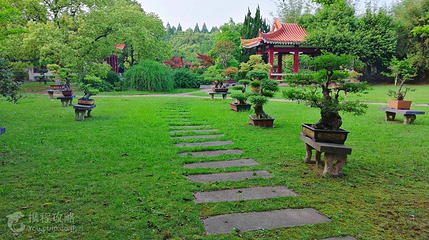 青山公园第 3 张图片
