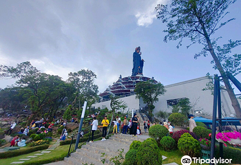 Black Virgin Mountain第 8 张图片