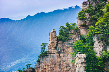 杨家界景区第 10 张图片