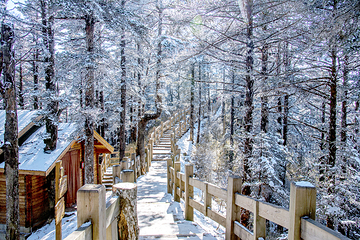 西岭雪山（滑雪场景区）第 13 张图片