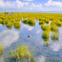 若尔盖花湖生态旅游区