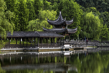 新蒲湿地公园第 3 张图片