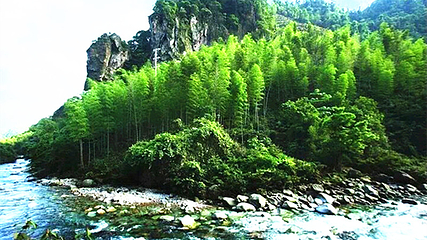 漓江源大峡谷第 16 张图片