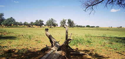 腾格里沙漠外星球营地
