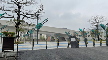 中山市树木园第 3 张图片