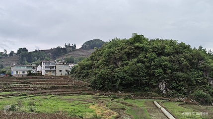 茶山第 2 张图片