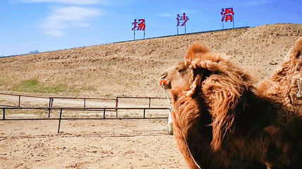 内蒙哈素海旅游度假村第 1 张图片
