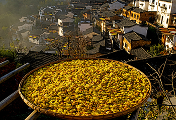 婺源篁岭景区第 230 张图片