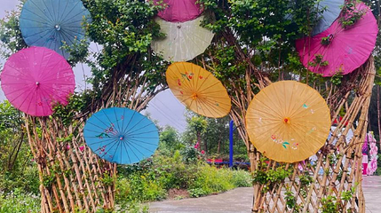 百草园第 1 张图片