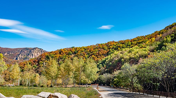 北京喇叭沟原始森林公园