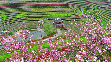 奢香古镇第 5 张图片
