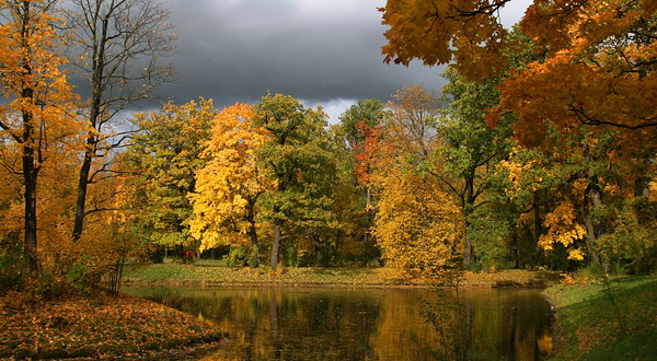 长桥溪水生态修复公园