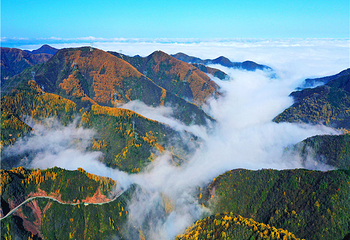 六盘山红军长征旅游区第 13 张图片