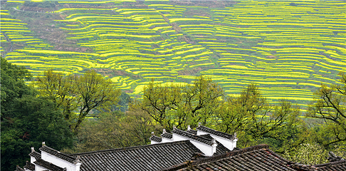婺源篁岭景区第 130 张图片