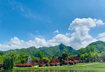 秦岭国家植物园第 1 张图片