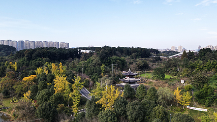 新蒲湿地公园第 8 张图片