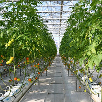 上饶云谷田园生态小镇