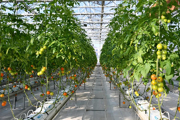 上饶云谷田园生态小镇第 1 张图片