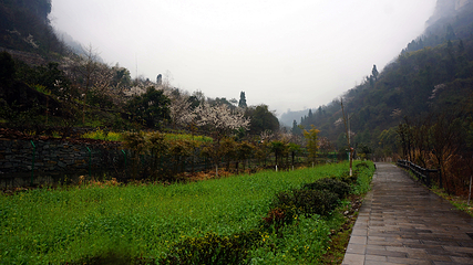三峡大瀑布第 45 张图片