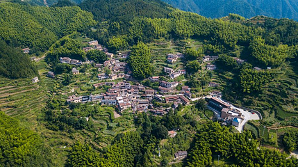陈家铺村第 1 张图片