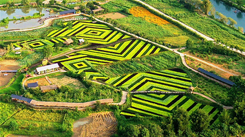 阳朔山水遇农园景区
