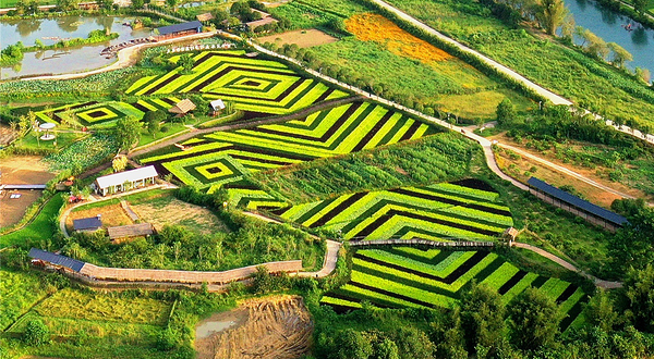 阳朔山水遇农园景区