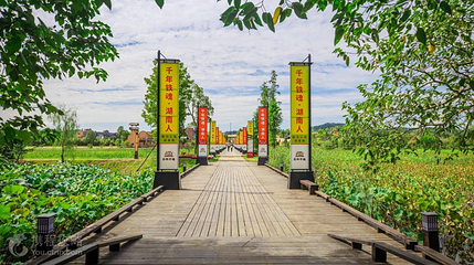 道林古镇第 7 张图片
