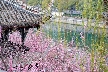 望江楼公园第 41 张图片