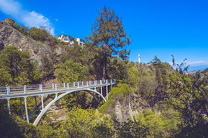 第比利斯国立植物园