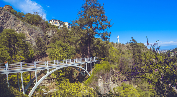 第比利斯国立植物园