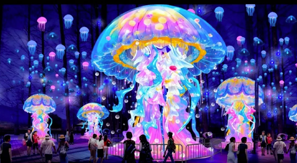 奇幻夜-2026石家庄灯会