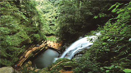 碧峰峡景区第 82 张图片