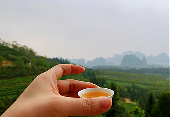 英西峰林·T三有机茶园第 31 张图片