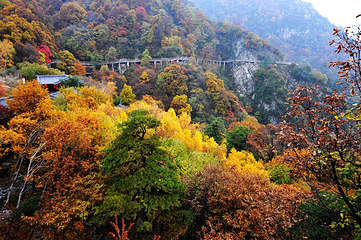少华山国家森林公园第 28 张图片