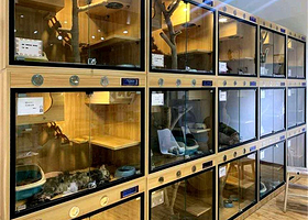 猫米博物馆冲鸭俱乐部(茂业天地亲贤店)