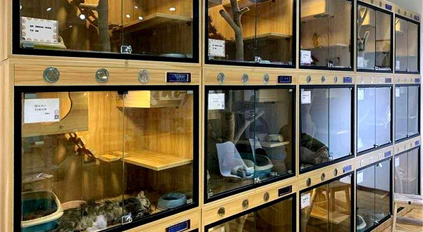 猫米博物馆冲鸭俱乐部(茂业天地亲贤店)