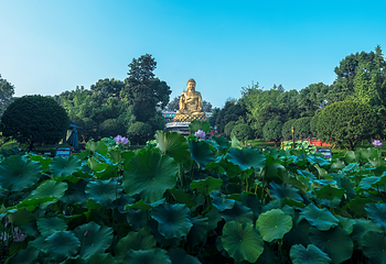 华岩寺第 16 张图片