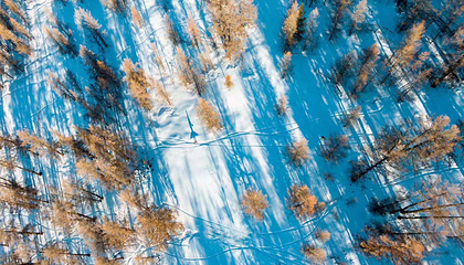 可可托海国际滑雪度假区第 33 张图片