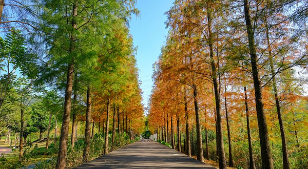 天河大观湿地公园