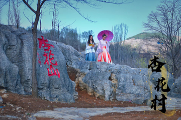 青州杏花村旅游度假区第 8 张图片