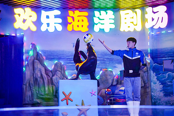 平顶山海洋馆第 6 张图片