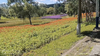 鸡西动植物园第 2 张图片