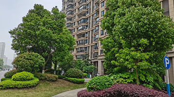 安庆碧桂园1号公园