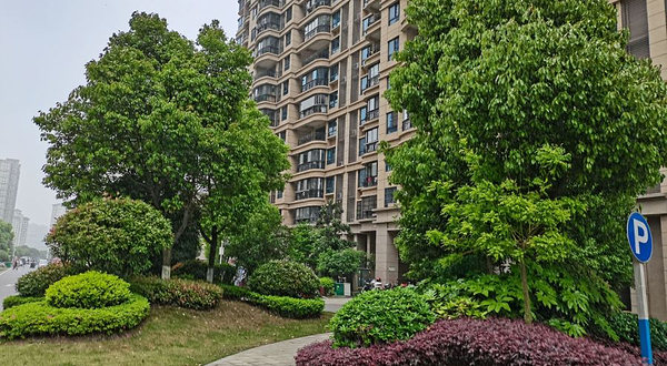 安庆碧桂园1号公园