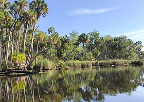 Crystal River National Wildlife Refuge