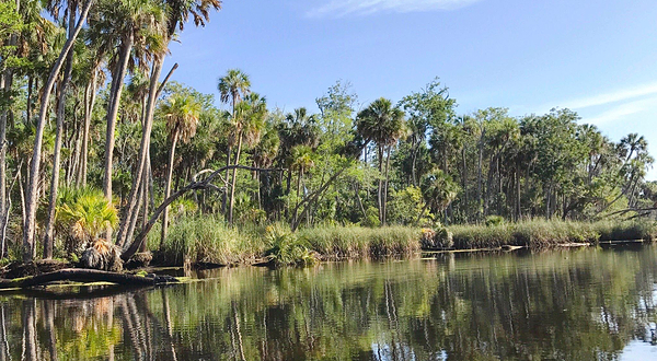 Crystal River National Wildlife Refuge & Visitor Center