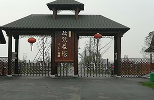 安徽玖玖花海观光园