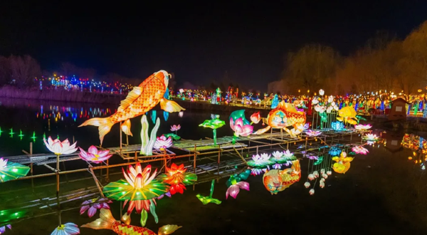 2025滕州微山湖新春灯会