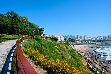 青岛海滨风景区第 133 张图片
